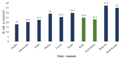 우간다 육종⋅번식 프로그램 적용 젖소의 일당 우유 생산량 * Data obtained from the first Korean heifer milk records