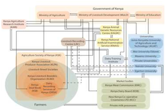 케냐 동물 유전자원 관련 기관 연계도 (onabend et al, 2013)