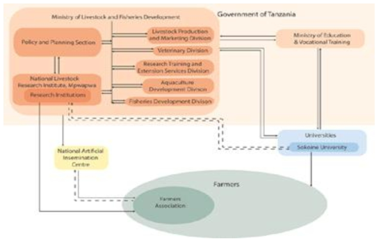 탄자니아 동물 유전자원 관련 기관 연계도 (onabend et al, 2013)