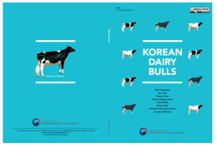 KOREAN DAIRY BULLS