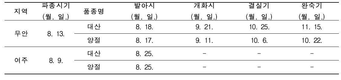 유채 논재배 봄파종 후작물(메밀) 생육특성