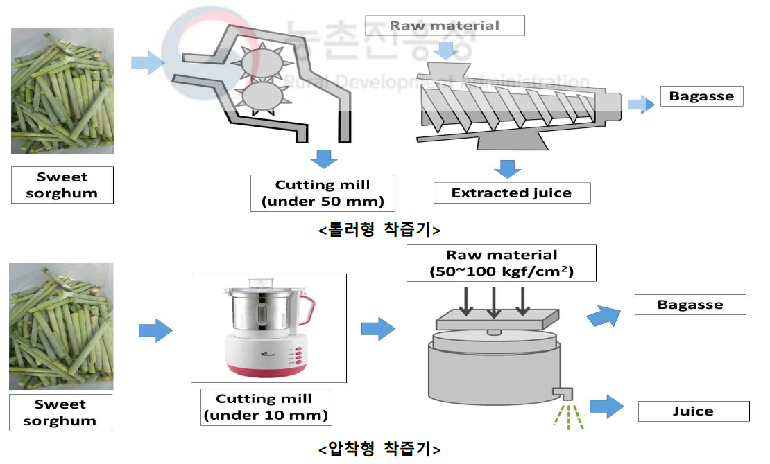 단수수 줄기 착즙 방법