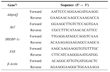 지방세포 관련 유전자의 Primer sequence