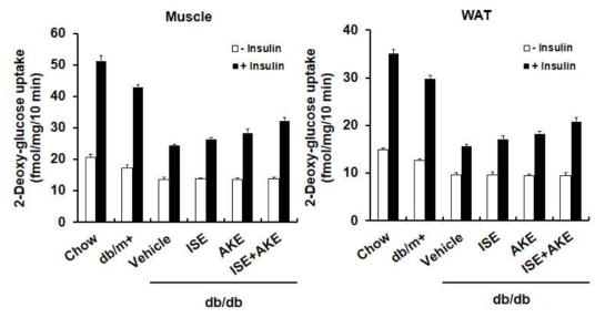 근육과지방조직에서산채추출물들(ISE, AKE, ISE+AKE)이Glucose uptake에 미치는영향