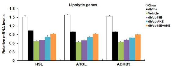 간과 지방에서 산채 추출물이(AKO)이 lipolysis 관련 유전자 발현에 미치는 영향