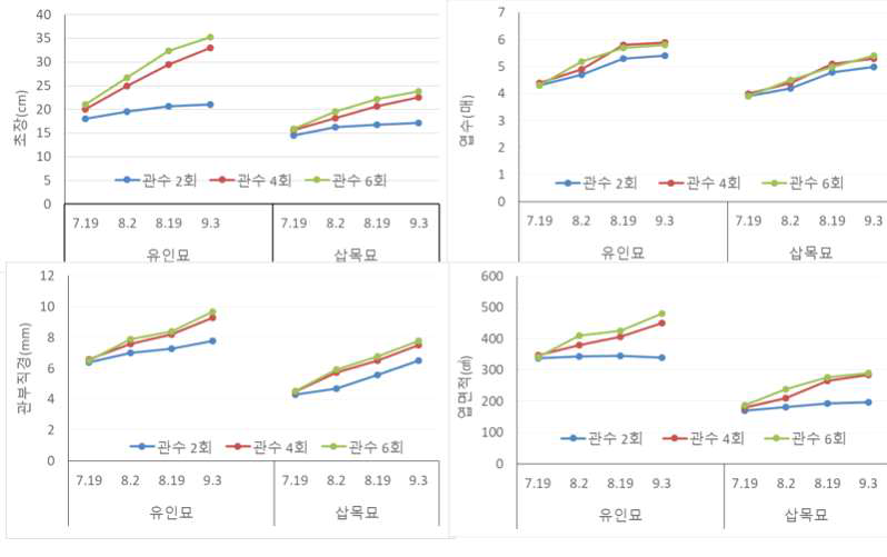 관수횟수에 따른 생육의 경시적인 변화