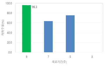 육묘기간에 따른 정식 5주후 개화율