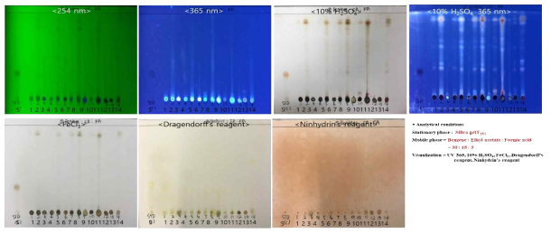 전개액 조성 2 (Benzene : Ethyl acetate : Formic acid = 30 : 15 : 5) 결과
