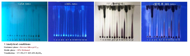 전개액 조성 8 (10% Methanol with Reverse Silica gel F254) 결과