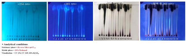 전개액 조성 9 (20% Methanol with Reverse Silica gel F254) 결과