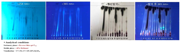 전개액 조성 10 (40% Methanol with Reverse Silica gel F254) 결과