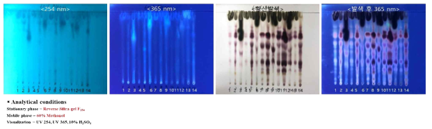 전개액 조성 11 (60% Methanol with Reverse Silica gel F254) 결과