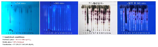 전개액 조성 12 (80% Methanol with Reverse Silica gel F254) 결과