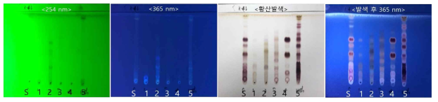 TLC 분석결과: 고려인삼 6년산 (K-43, 청주)