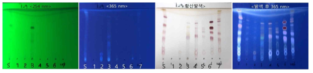 TLC 분석결과: 고려인삼 4년산 (K-29, 부여)