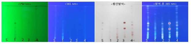 TLC 분석결과: 고려인삼 4년산 (K-44, 금산)