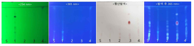 TLC 분석결과: 화기삼 6년산 (H-7, 장백산)