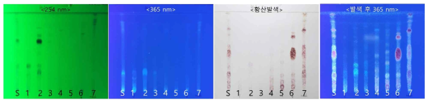 TLC 분석결과: 화기삼 5년산 (H-6, 장백산)