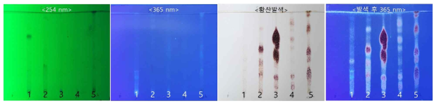 TLC 분석결과: 전칠삼 4년산 S-4, 사천성)