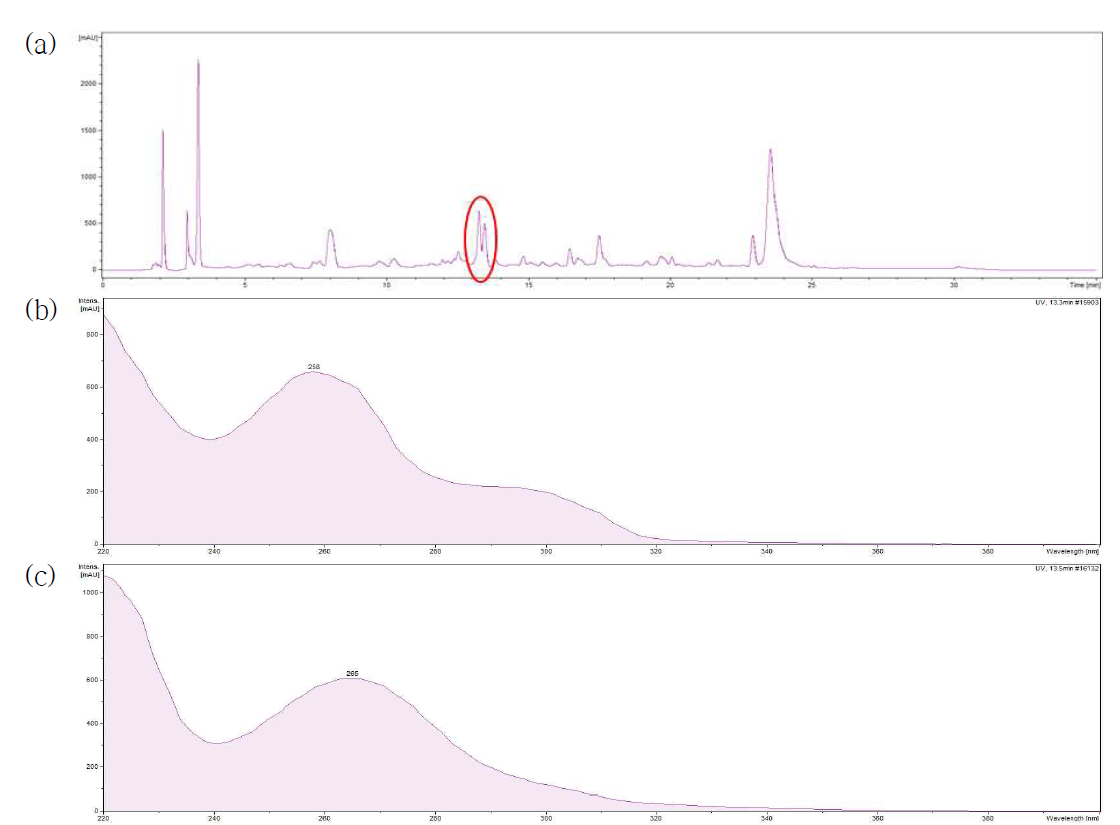 K-43 MCI fr.2의 UPLC chromatogram 및 spectrum