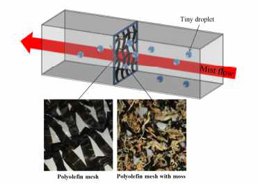 이끼를 활용한 안개 포집/제거 장치