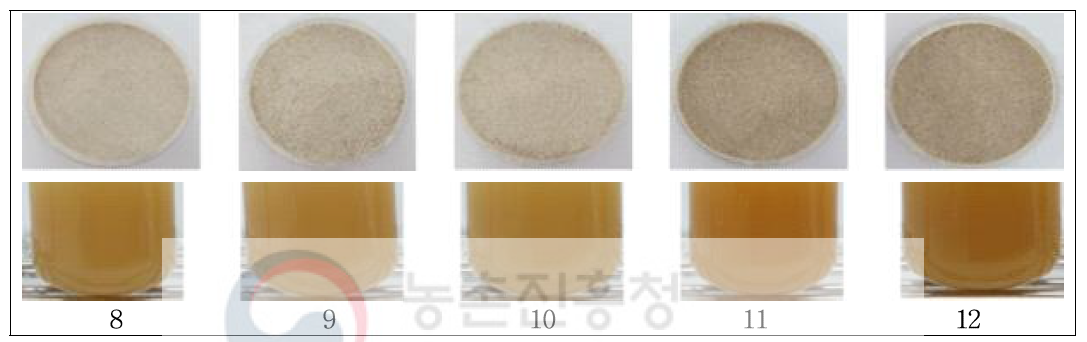 Appearance of protein from rice bran and protein extract with different pH