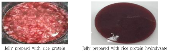 Apperance of the jelly adding rice protein and hydrolysate on rice protein