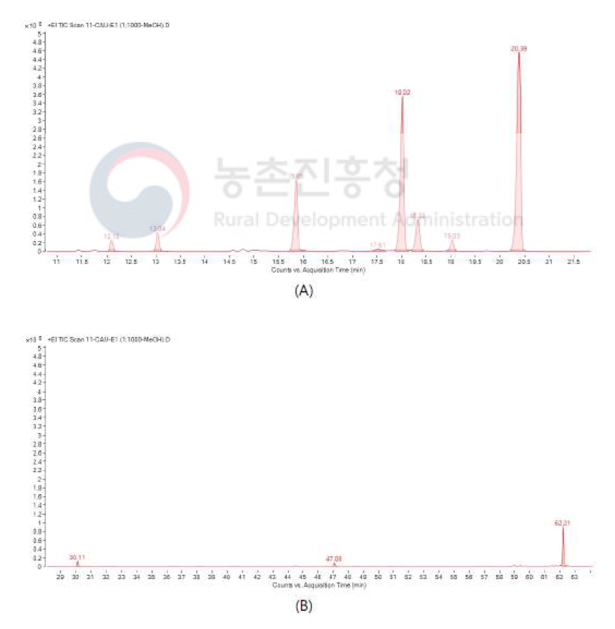 일당귀 에센셜오일의 Expended TIC chromatogram