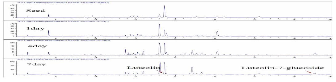 홍화 종자 및 새싹의 유효성분 (HPLC chromatogram)