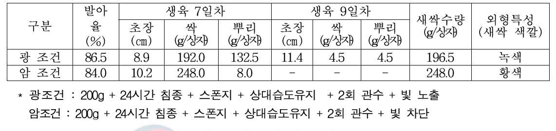 광, 암조건 생육비교