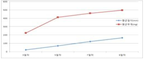 생육일수에 다른 새싹율무 길이 및 무게