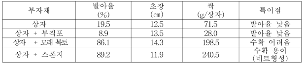 상자내 수분유지용 부자재 첨가시 생육