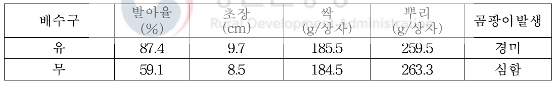 상자내 배수구 유무에 따른 생육