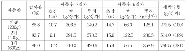 상자재배 파종량별 생육특성