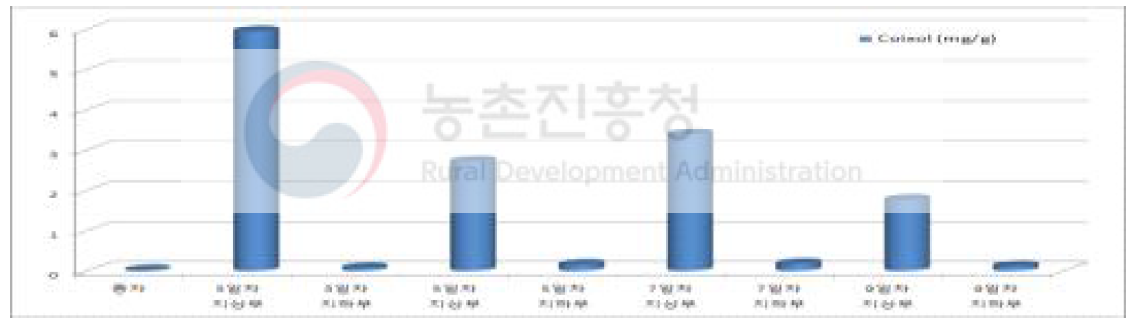 생육시기별 코익솔 함량