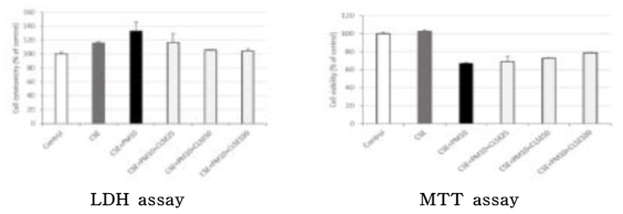 LDH, MTT assay 결과