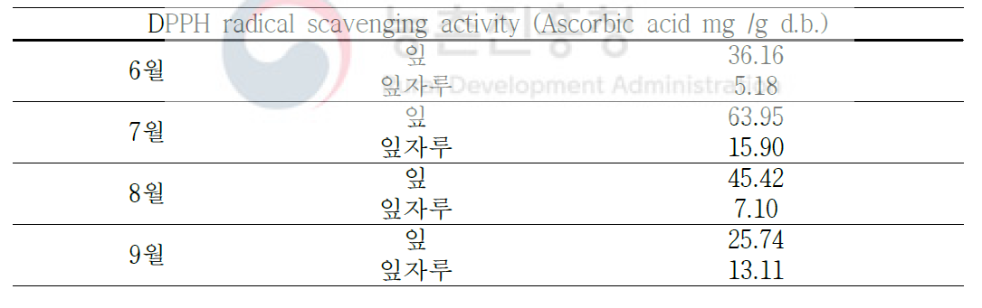 수확시기별 항산화 활성