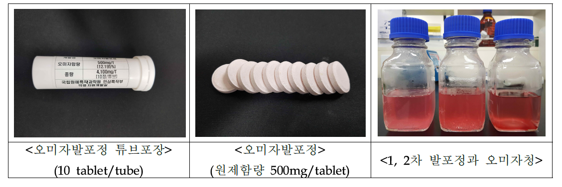 오미자 발포정 시제품 개발