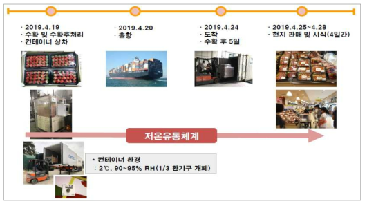 딸기 홍콩 시범수출 일정(2019.4)
