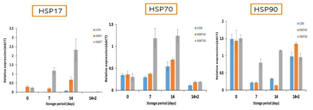 참외 저온저장기간중 Heat shock protein (HSP) 발현분석