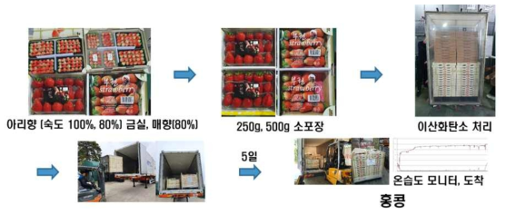 2019년 ‘매향’, ‘금실’, ‘아리향’ 딸기 수확 후 홍콩 수출 과정