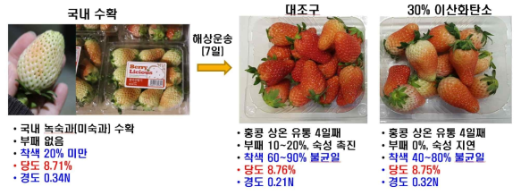 딸기 수출 시 이산화탄소 처리에 따른 품질 차이