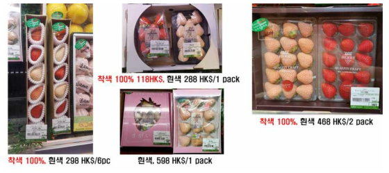홍콩 현지 일본산 딸기 시장 조사 및 가격
