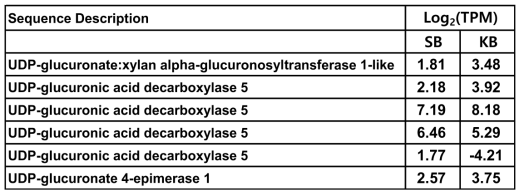 펙틴 생합성 관련 유전자의 발현(KB, ‘킹스베리’; SB, ‘써니베리’)