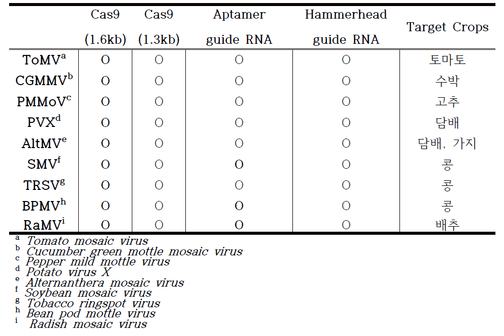 작물별 주요바이러스의 유전자 편집가능 Infectious clones 의 제작 완료