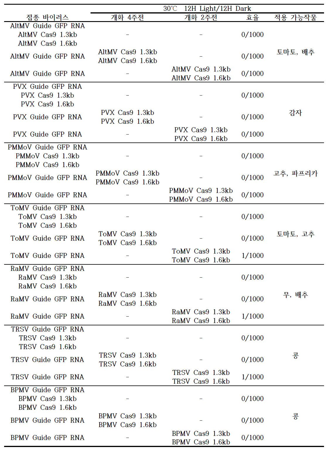 바이러스 접종 후 환경에 따른 유전자편집 효율 평가