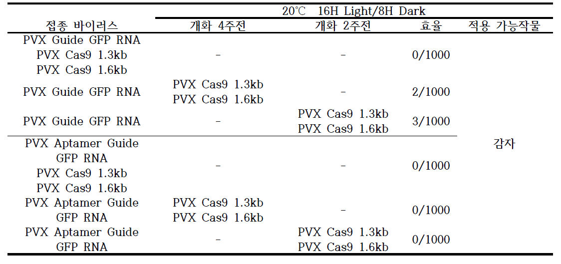 Guide RNA 와 Theophylline (Aptamer) guide RNA 발현 벡터의 편집 효과 비교