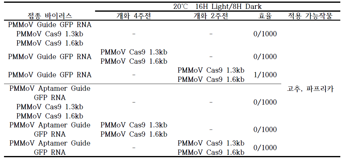 Guide RNA 와 Theophylline (Aptamer) guide RNA 발현 벡터의 편집 효과 비교