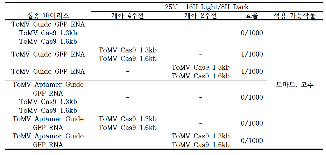 Guide RNA 와 Theophylline (Aptamer) guide RNA 발현 벡터의 편집 효과 비교