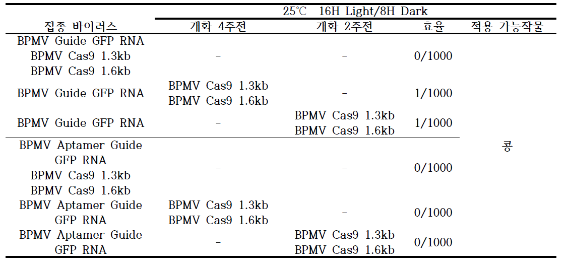 Guide RNA 와 Theophylline (Aptamer) guide RNA 발현 벡터의 편집 효과 비교